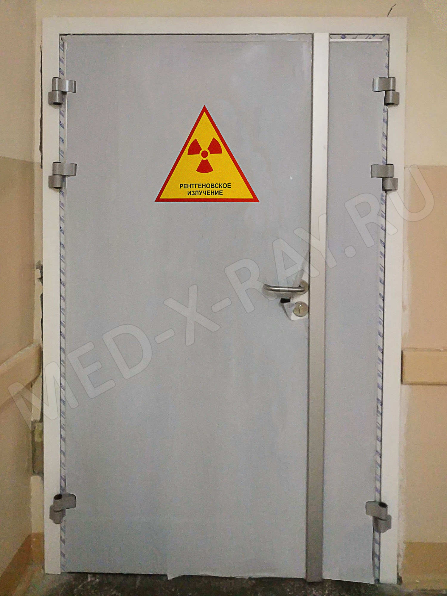 ТОГБУЗ «ГКБ им. Арх. Луки г. Тамбова» Дверь рентгенозащитная