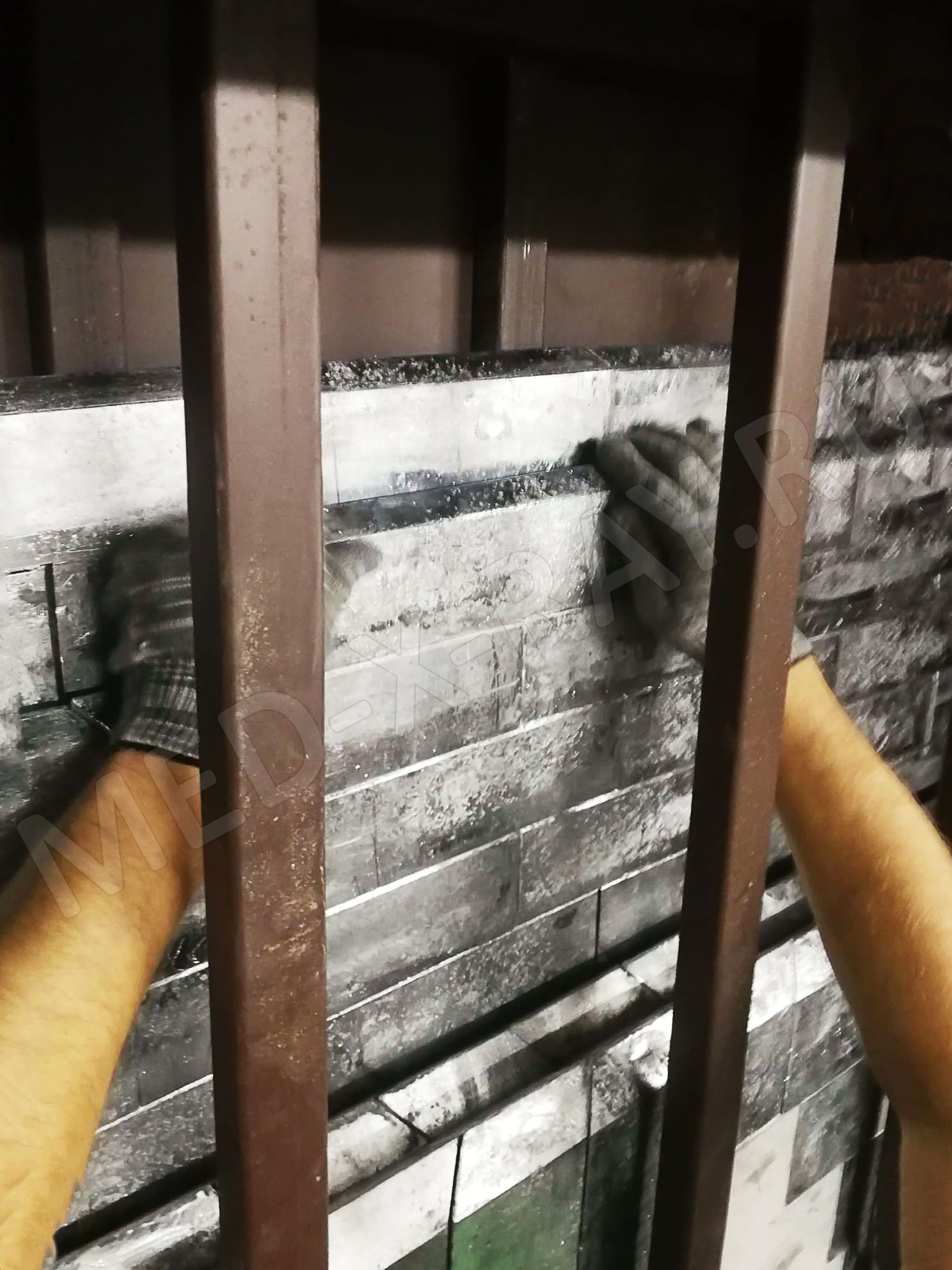 ФГУП «Вниим им. Д. И. Менделеева» Дверь защитная «TISSA-RP»